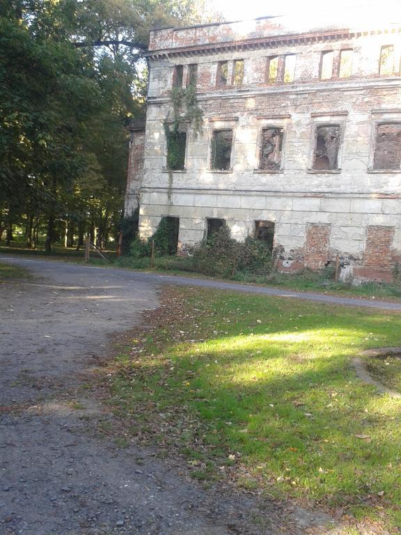 Отель Gosciniec Sloneczny Drzonkow Экстерьер фото