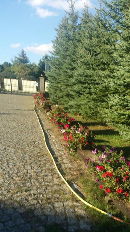Отель Gosciniec Sloneczny Drzonkow Экстерьер фото